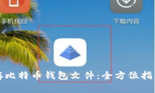 如何安全保存比特币钱包文件:全方位指导与实用技巧